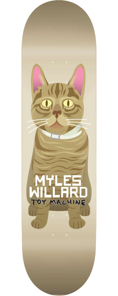 WILLARD CAT (8.125 x 31.9)